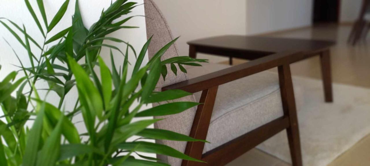 Hostel Jbr Synergy Dubai