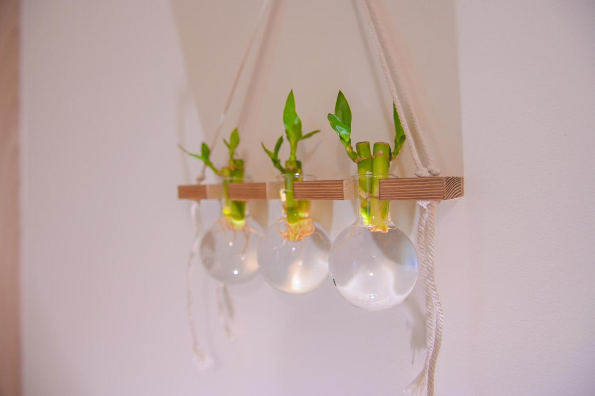 Urbanhomes - Cozy, Wooden And Travel Eco-friendly Apartment *