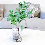 Exclusive One-Bedroom Apartment In Asyel 3