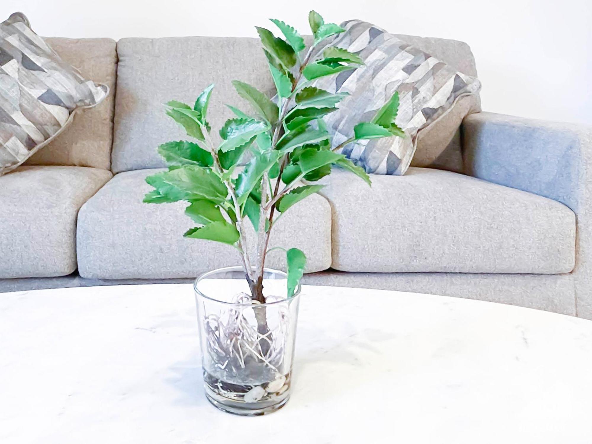 Exclusive One-bedroom In Asyel 3 Apartment Dubai