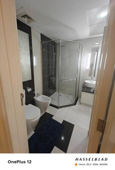 Luxurious 500 Meters Next To Mall Apartment Dubai