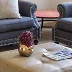 Cool And Spacious Apartment In Fabulous Location