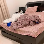 Mankhool Bur Dubai One Bed Furnished Apartment With Pool And Gym In Manazil Brand New Building