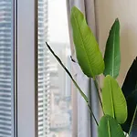 Impressive View 2Br In Dubai Marina Walk2Beach