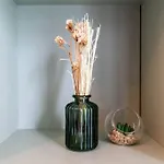Serenity Studio