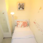 Roomy Dubai Hostel Small Rooms And Partitions At Marina