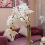 Prime Retreats - Sparkle Tower Marina