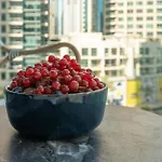 Vacay Lettings - Liv Residence