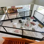 Deluxe 2Br Apartments At Socio Dubai Hills Estate
