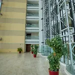 High Class Apartment