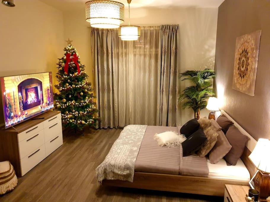 Apartment Melsky