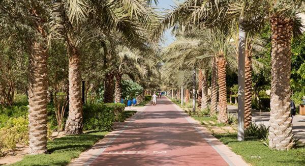 Palm Jumeirah 2 Bed Apartment