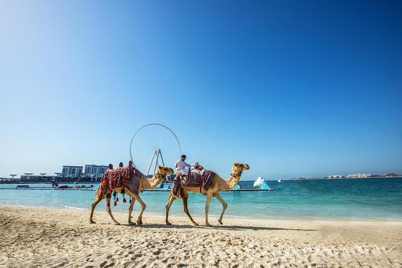 Wonderful Near The Sadaf Jbr Dubai