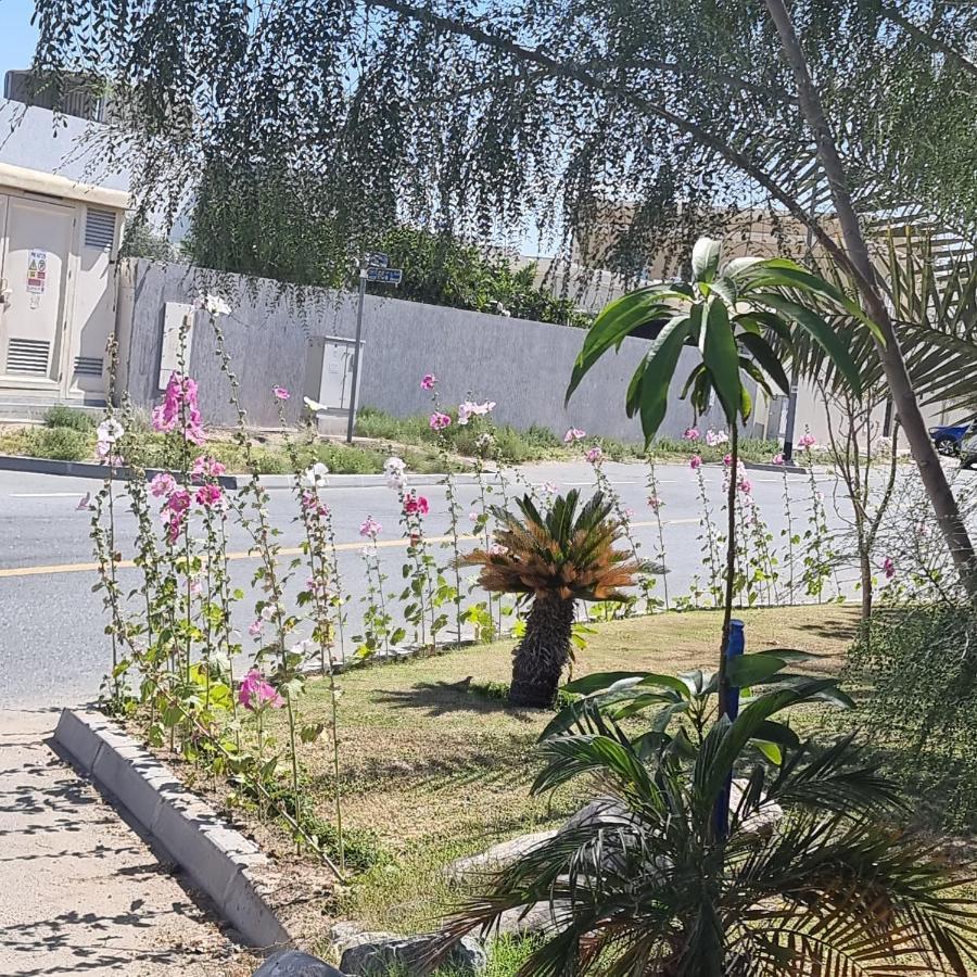 Warqa Garden * Dubai