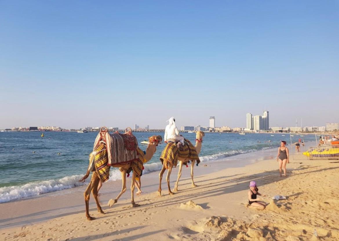 Marsa