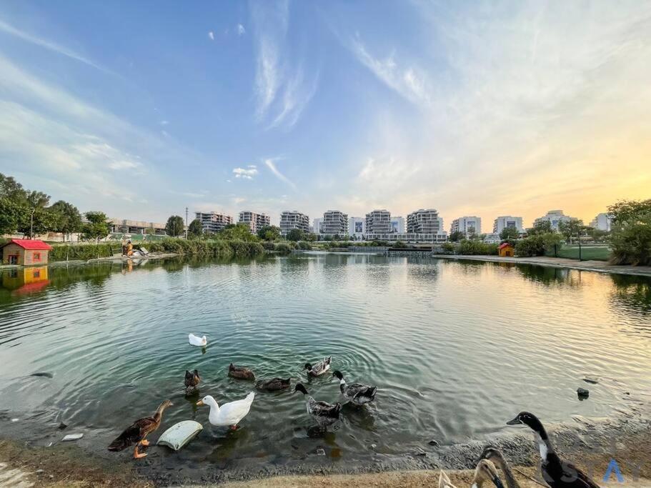 Apartment In Loreto 1a, Damac Hills - Host & *