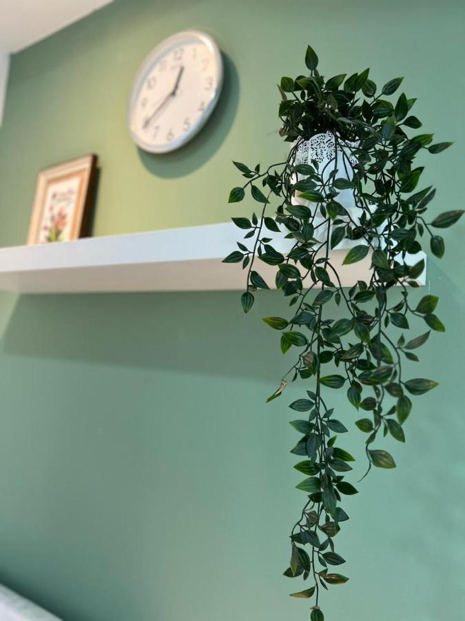 Dreamy Partition In Barsha1 Homestay Dubai