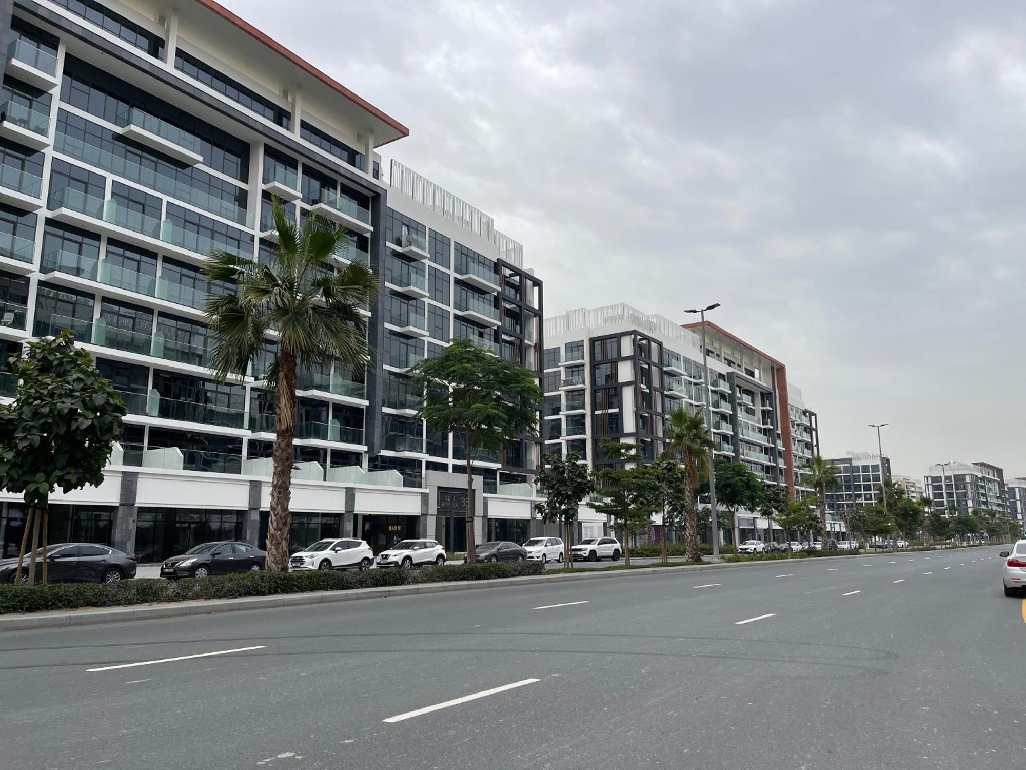 Apartment Ashri Homes Standard In Riviera With Pool View