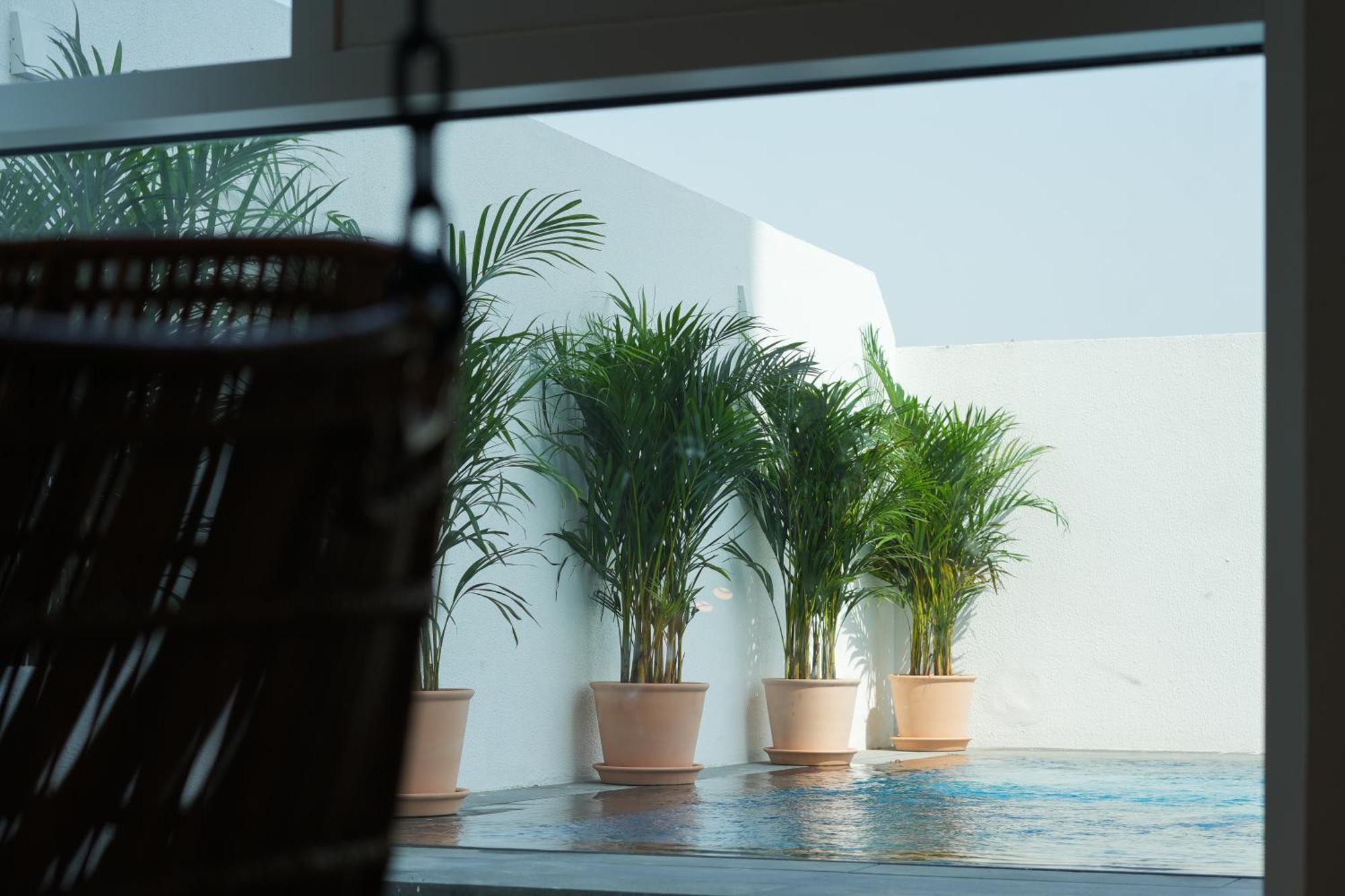 Shada Jumeirah Garden Hotel Dubai