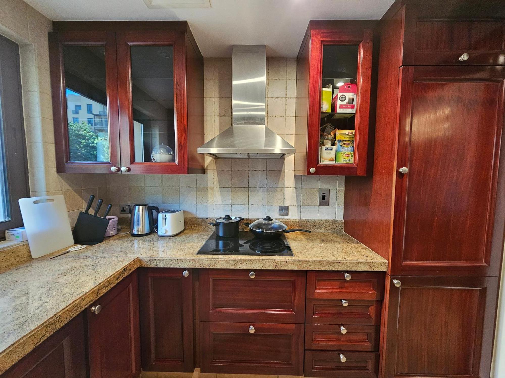 Palace Downtown Apartment