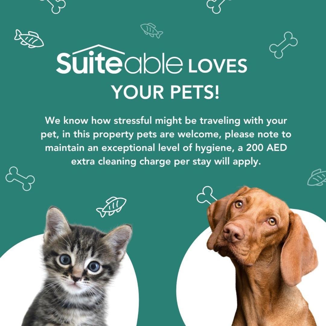 Diamond Studio - Special Offer By Suiteable