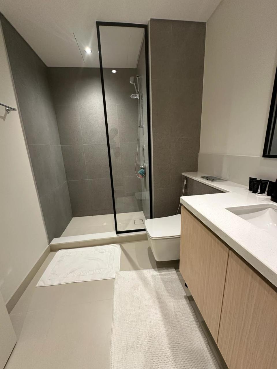 Apartment Luxury Burj Crown Burj Khalifa View Dubai