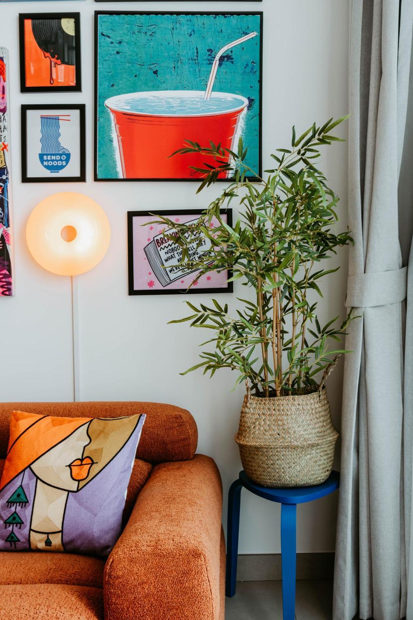 Coolest 1 Bedroom In Hills Close To The Park Apartment