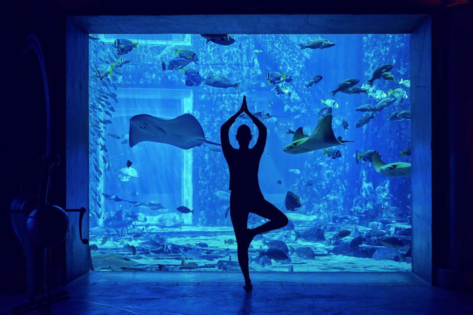 Atlantis, The Palm 5* Dubai