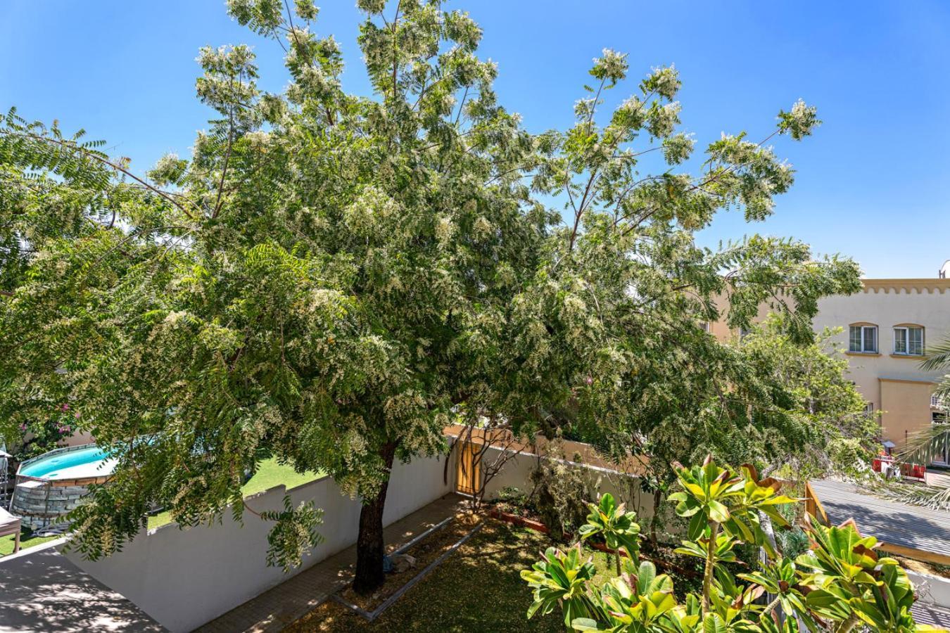 Whole 3 Bedroom With Maids Room House - The Springs - Privat Garden Dubai