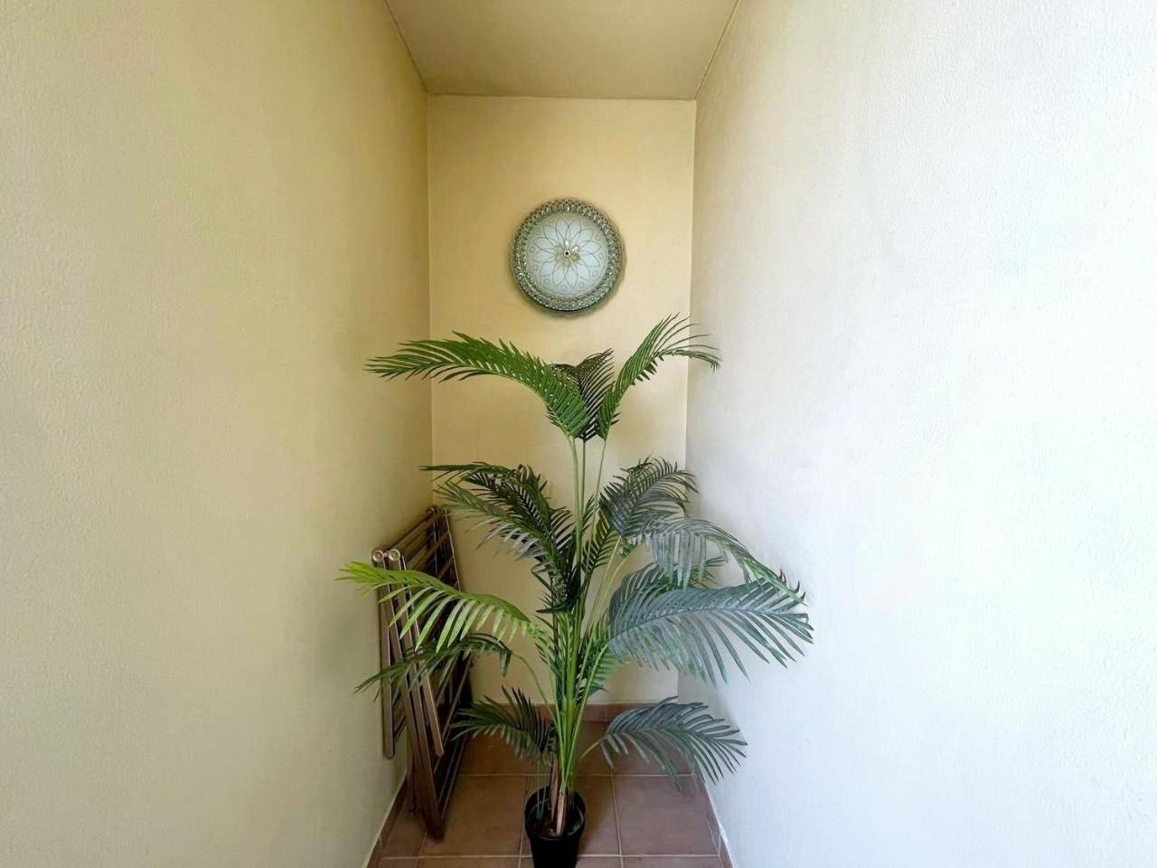 Family Apartment, Prime Location In Jbr, Location Apartment Dubai