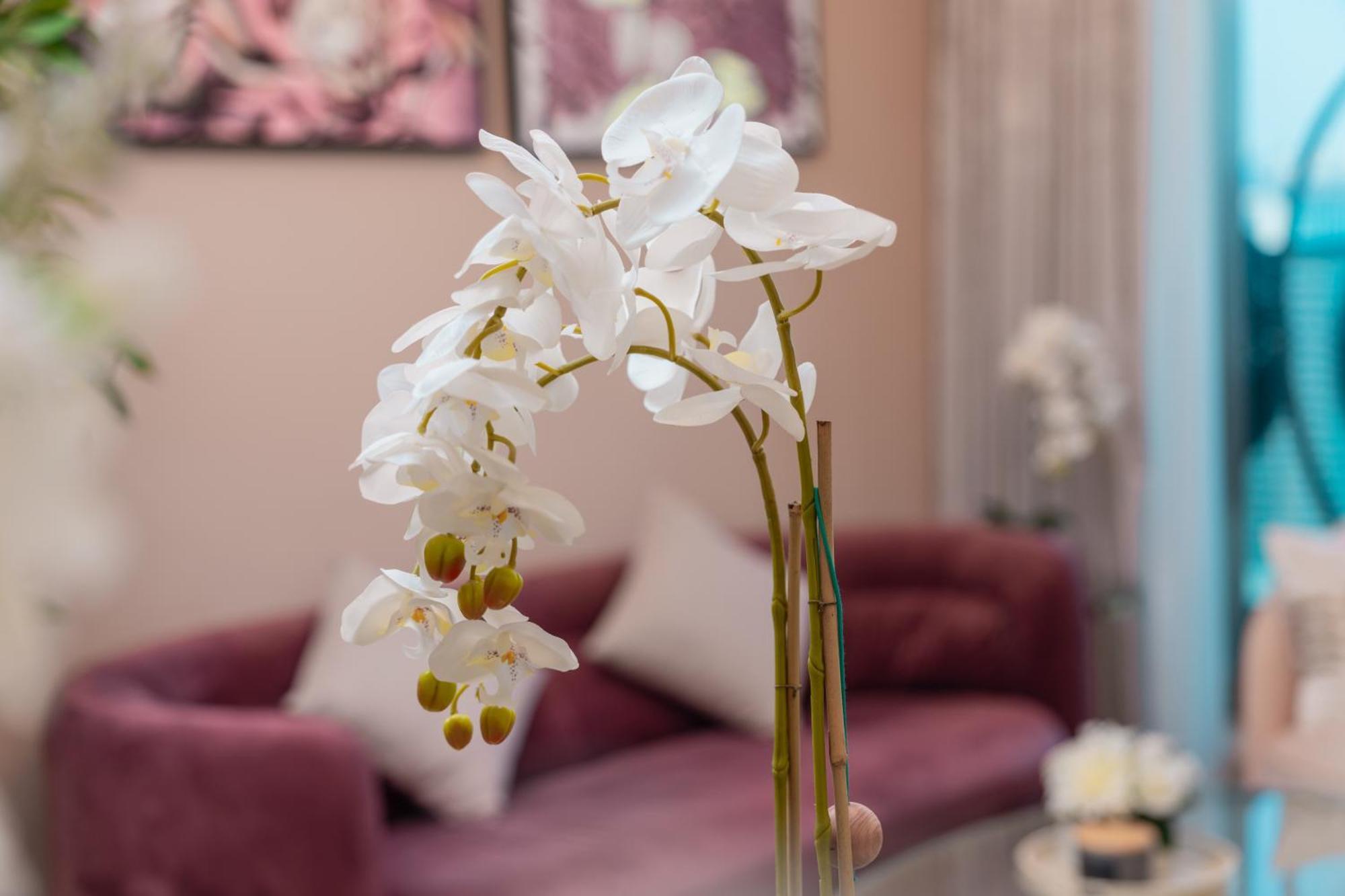 Prime Retreats - Sparkle Tower Marina * Dubai