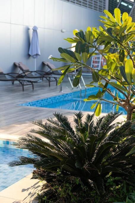 Alaia Retreat Apartment