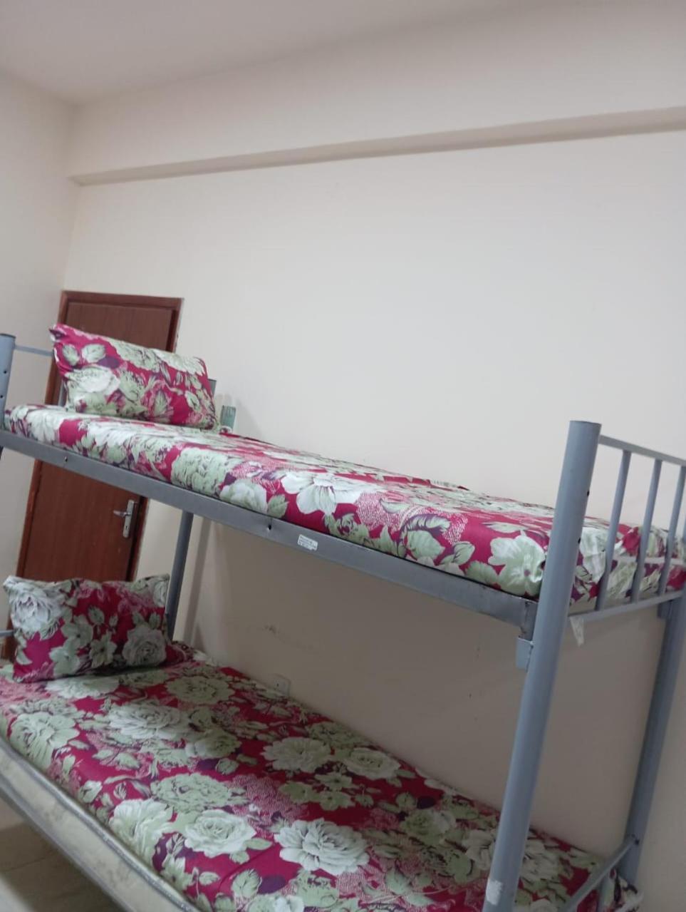 Apartment Dormitory Bed