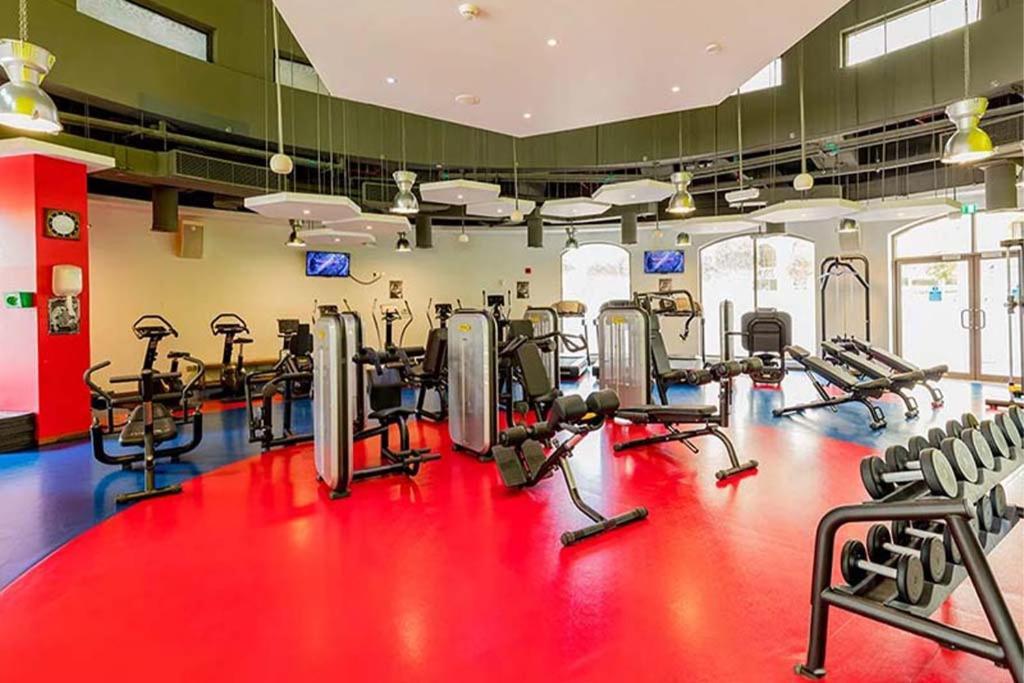 Beautiful 2br In Prime Jbr Location At Shams 1