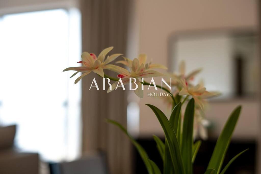 Apartment Beautiful 2br In Prime Jbr Location At Shams 1 Dubai