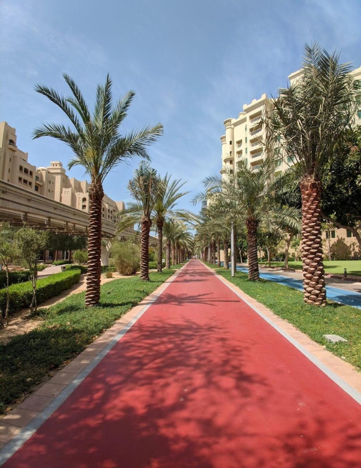 Lux Living On Palm Jumeirah With Pool & Access Apartment