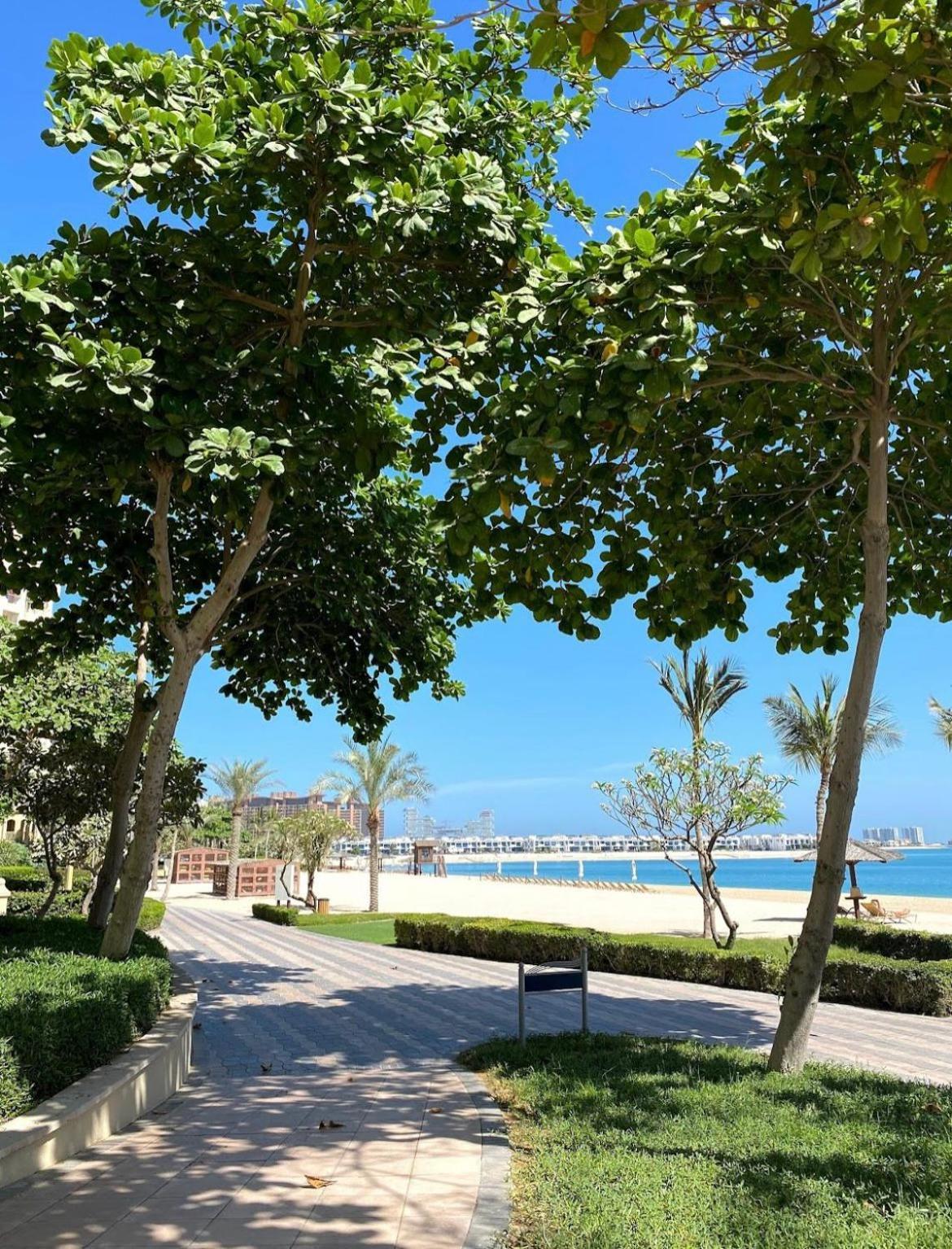 Apartment Lux Living On Palm Jumeirah With Pool & Access Dubai