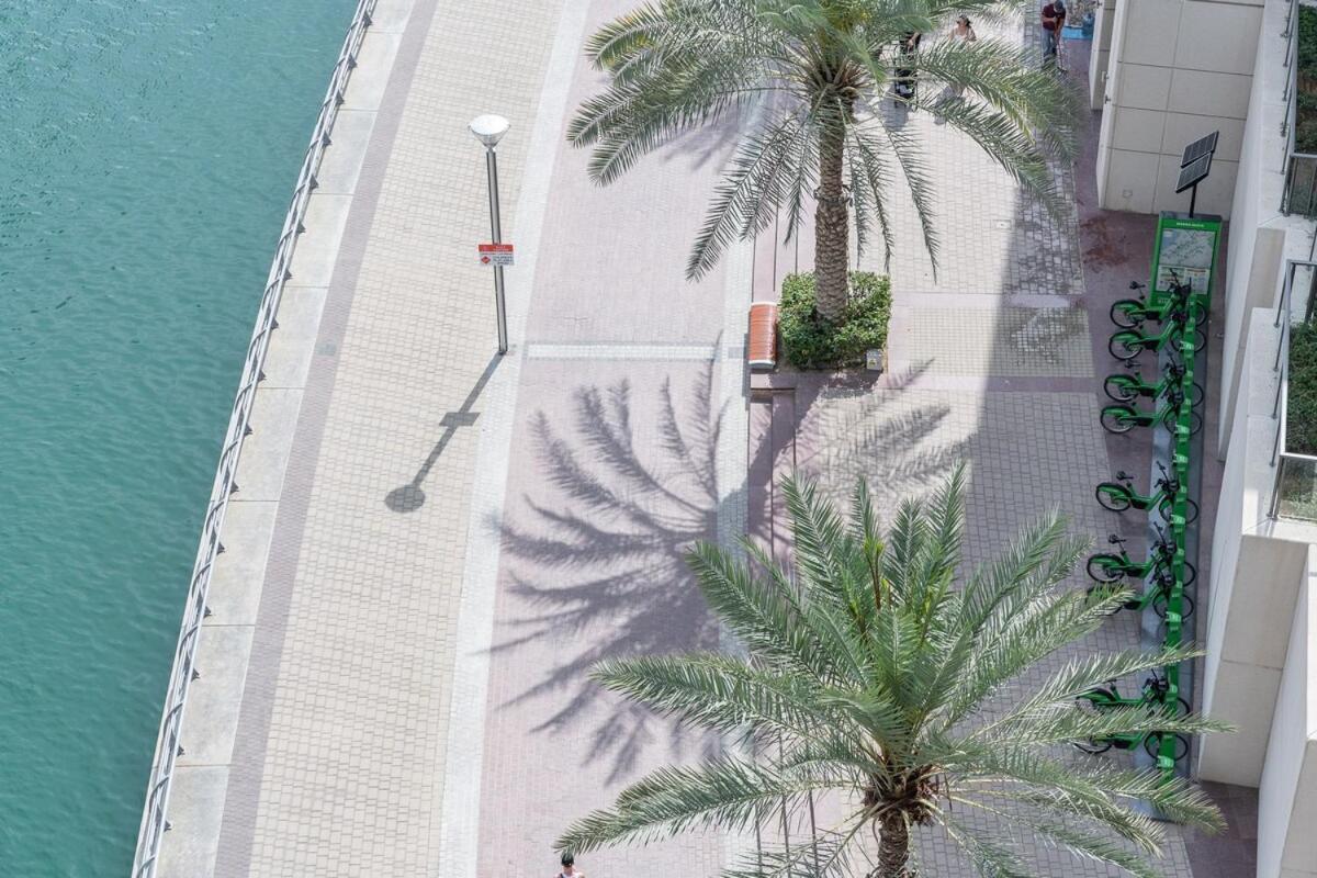 Marina Oasis Cozy 1-bed Flat With Stunning Views Apartment Dubai