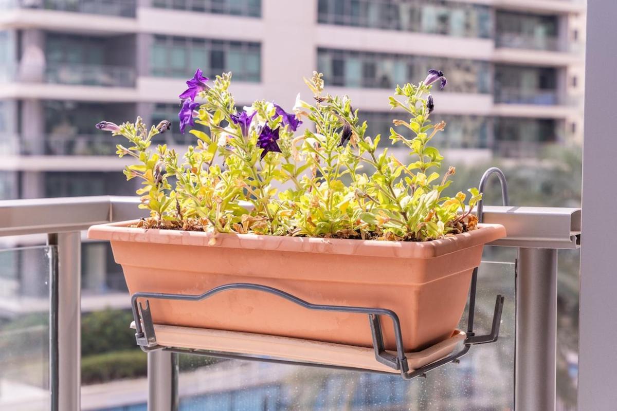 Marina Oasis Cozy 1-bed Flat With Stunning Views * Dubai