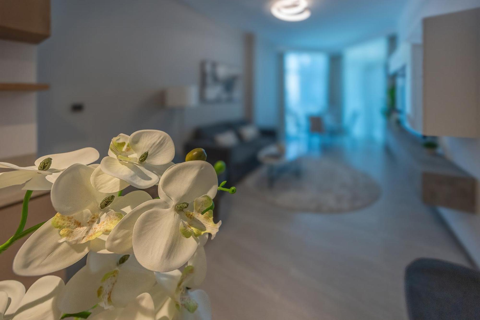 Apartment New 1 Bd In Business Bay Missoni