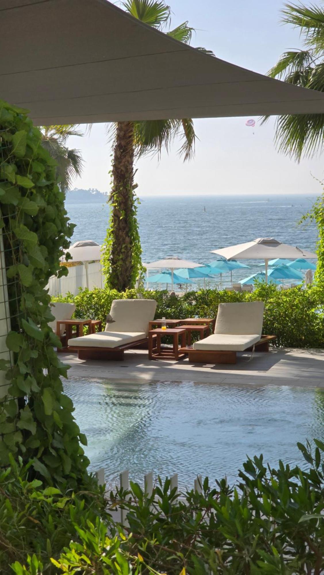 Private 1br Biophilic Retreat With Access & Infinity Pool Apartment Dubai