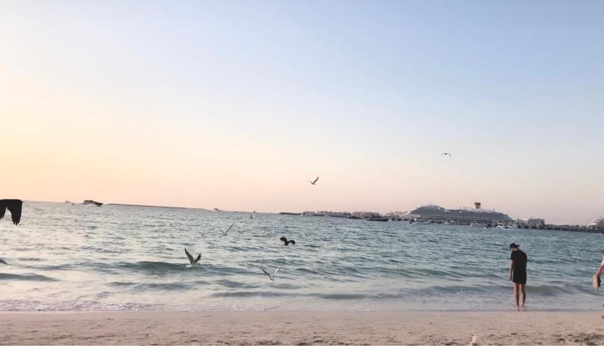 Jbr Beachfront Luxe Sea Facing *