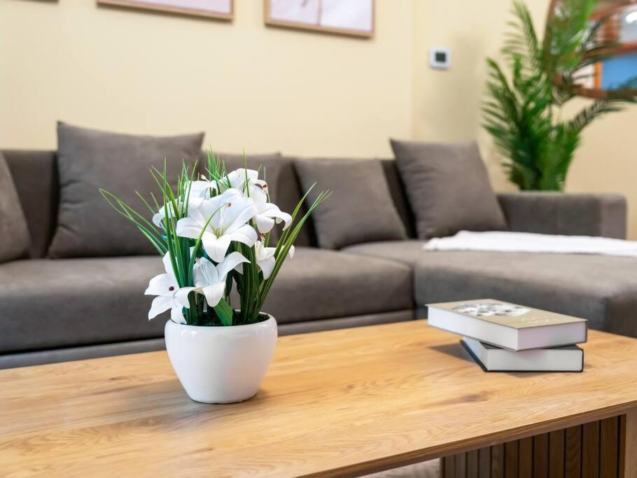 Spacious In The Heart Of Marina W Seaview *