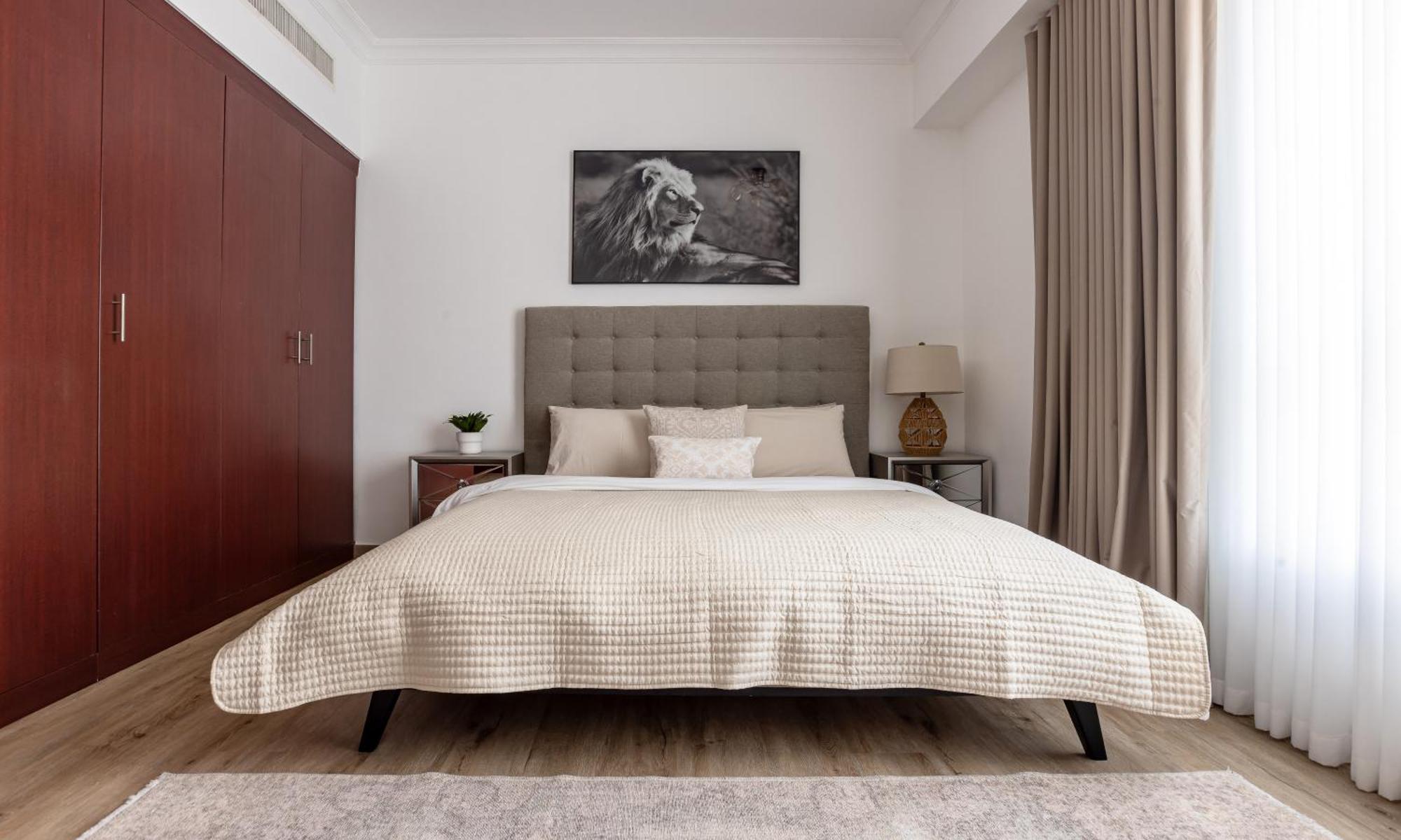 Apartment Beautiful And Bright 1 Bedroom Apartment! Sofia ! *