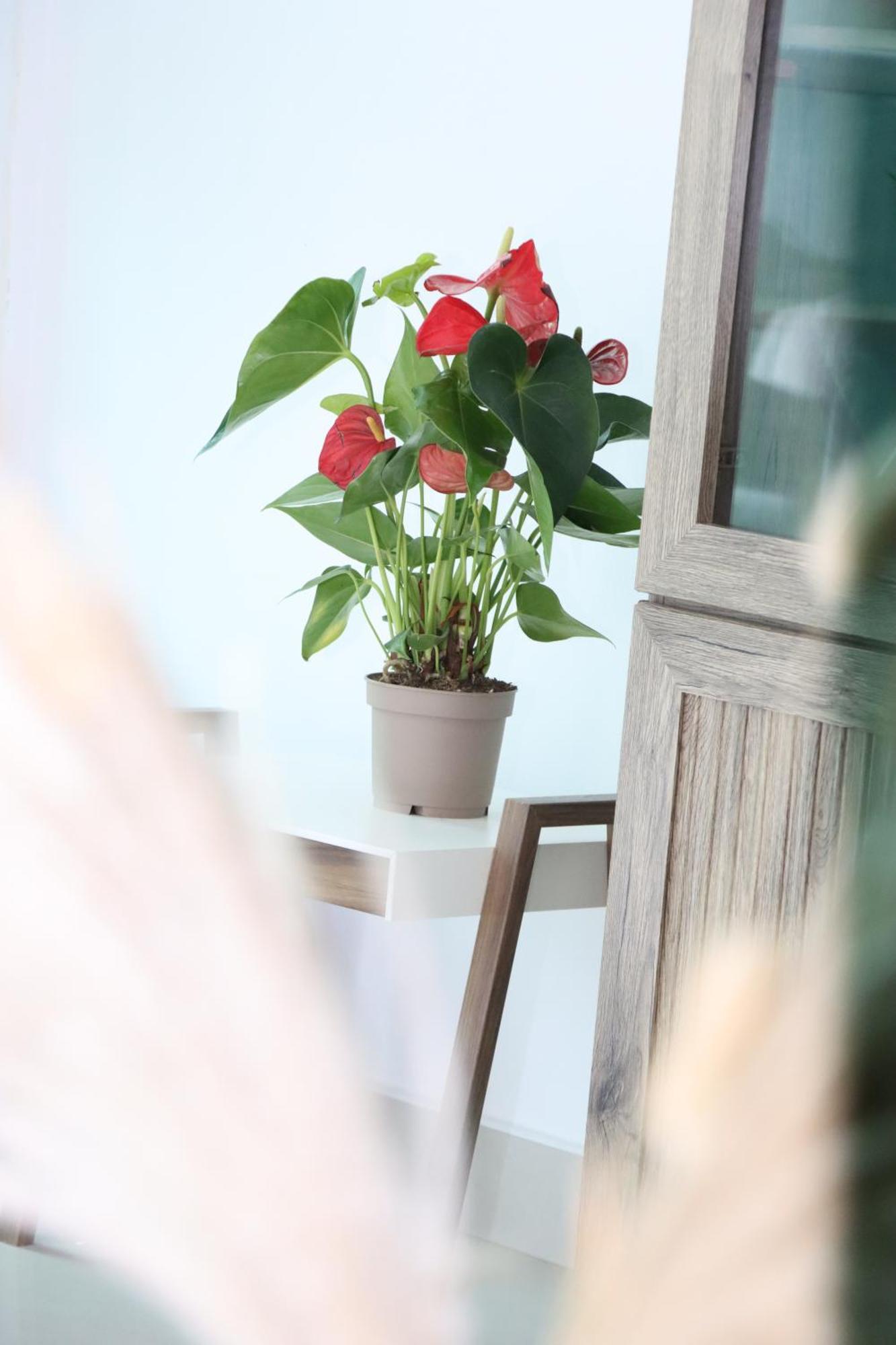 Vista Lavisha Vacation - Elegant 1bdr With Stunning Sea View And Partial Canal View Apartment Dubai