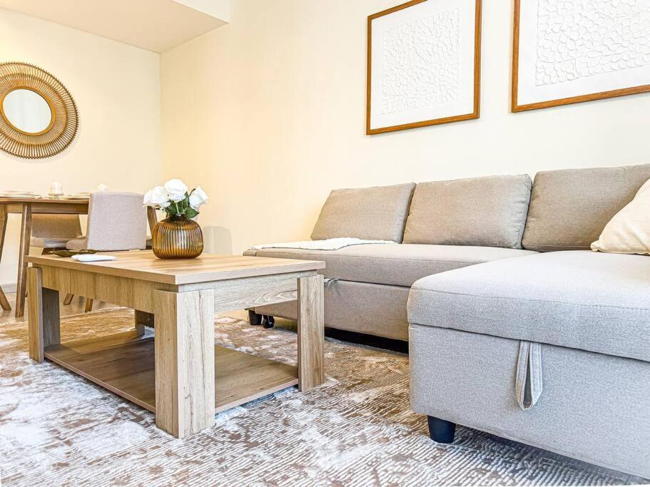 Dreamshoma -1b Spacious With A View Dubai