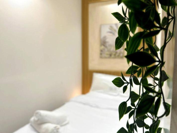 Adventurers Partition In Barsha Heights Homestay