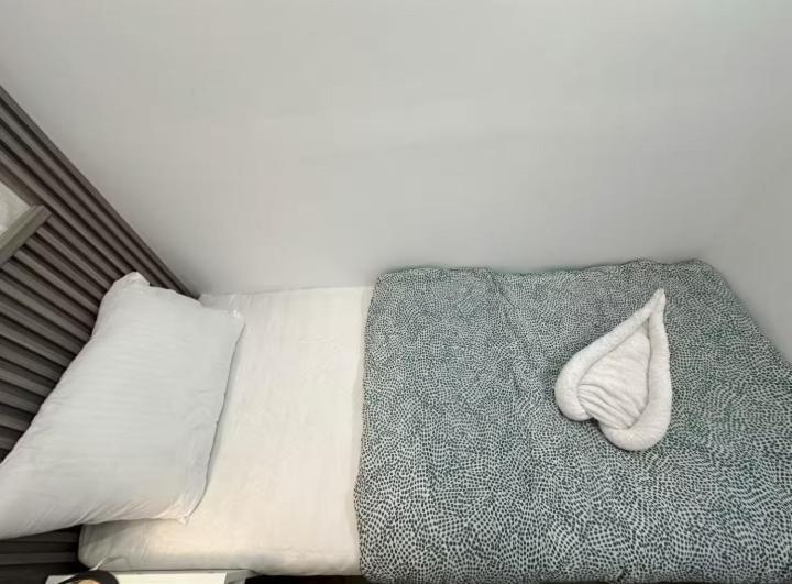 Elegance Partition In Tecom Near Icm Metro Homestay *