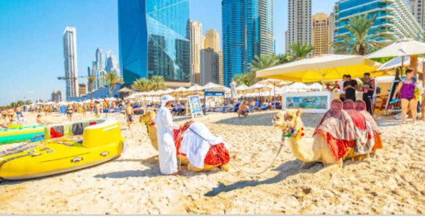 Jbr Elegant Classy With Full Seaview On The