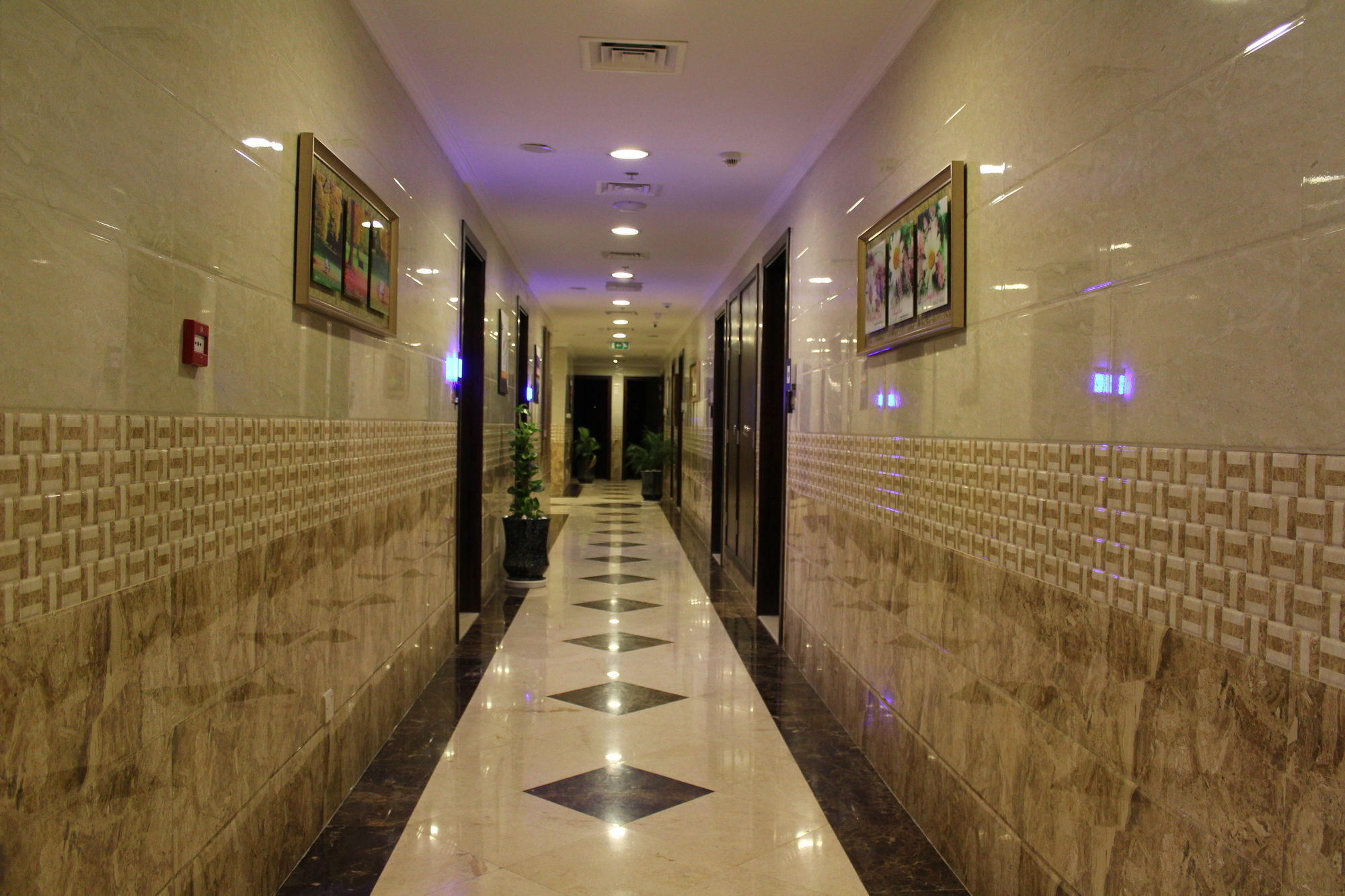 Hotel Naif 3*